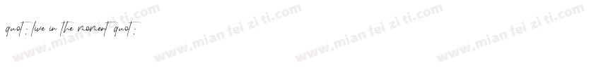 quot; live in the moment quot;字体转换